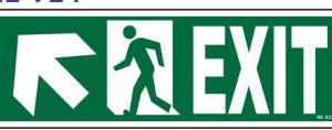 Green emergency EXIT sign with up-left arrow and running-person symbol by Safe Cure