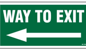 Safe Cure green Way to Exit sign with left-pointing arrow