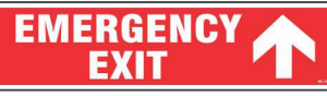 Red EMERGENCY EXIT sign with a bold upward-pointing arrow by Safe Cure